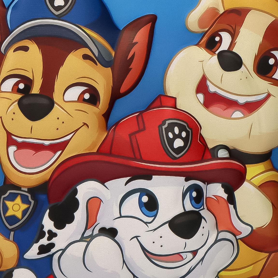 Bolsa isotérmica 3d paw patrol