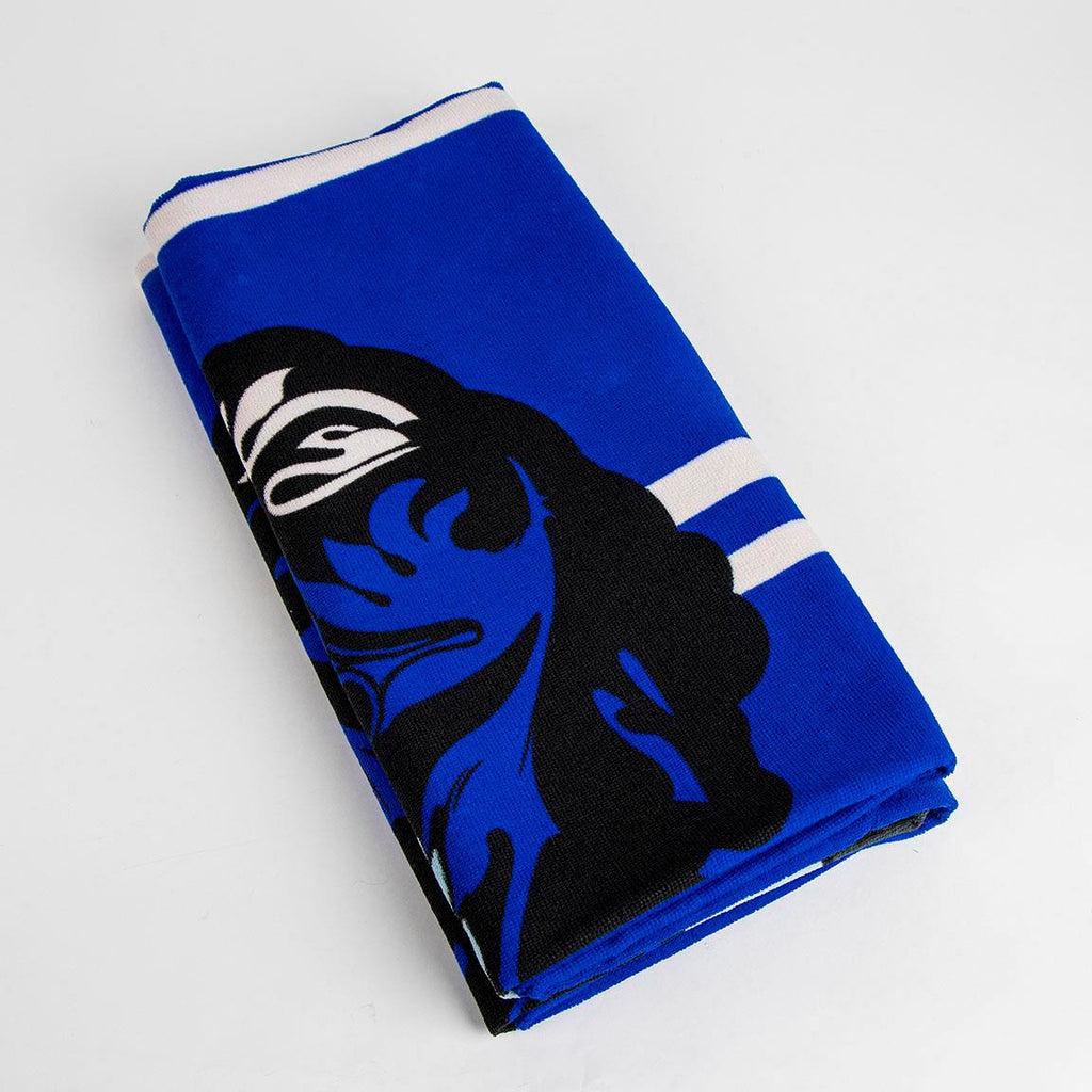 Toalla microfibra harry potter ravenclaw