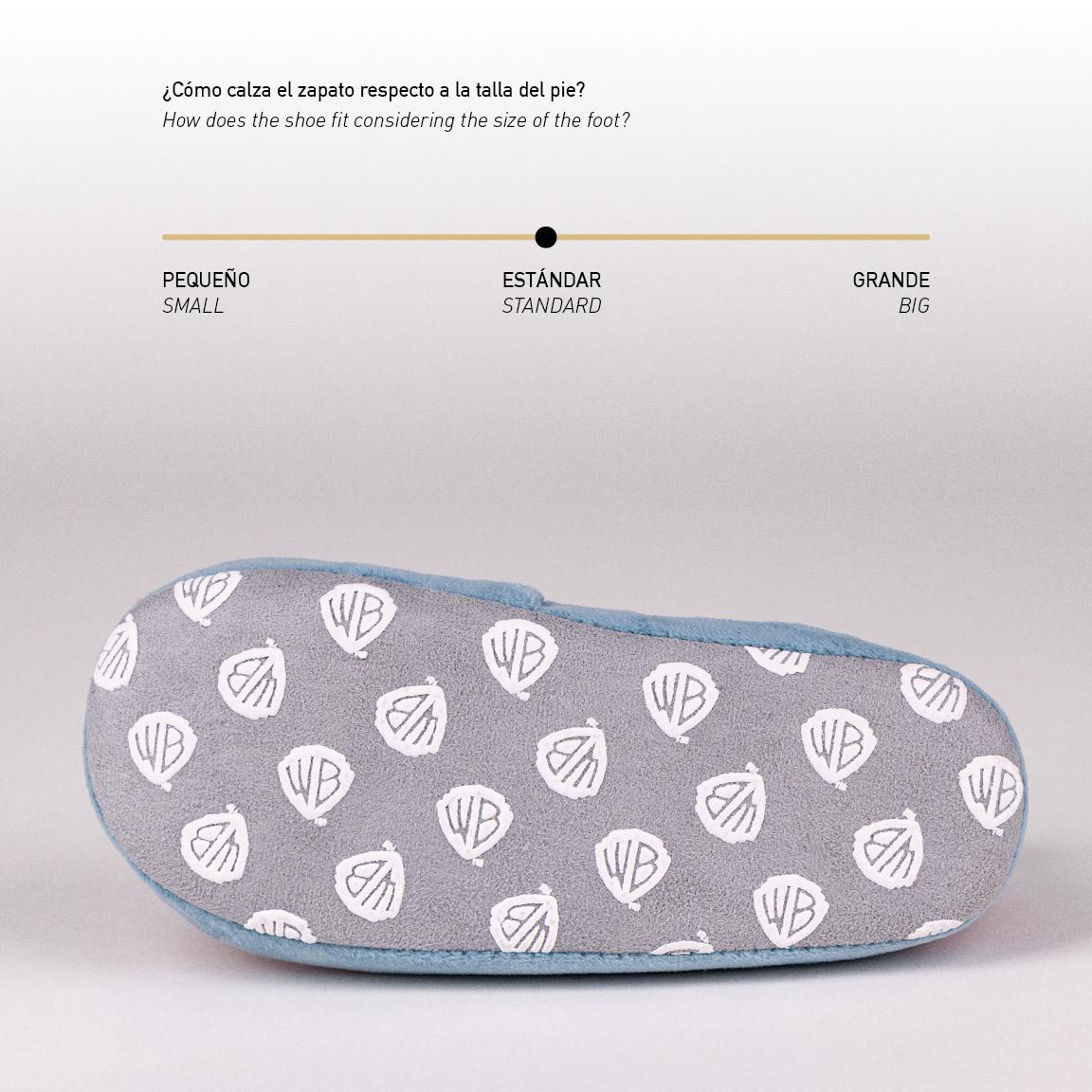 Zapatillas de casa francesita warner 100