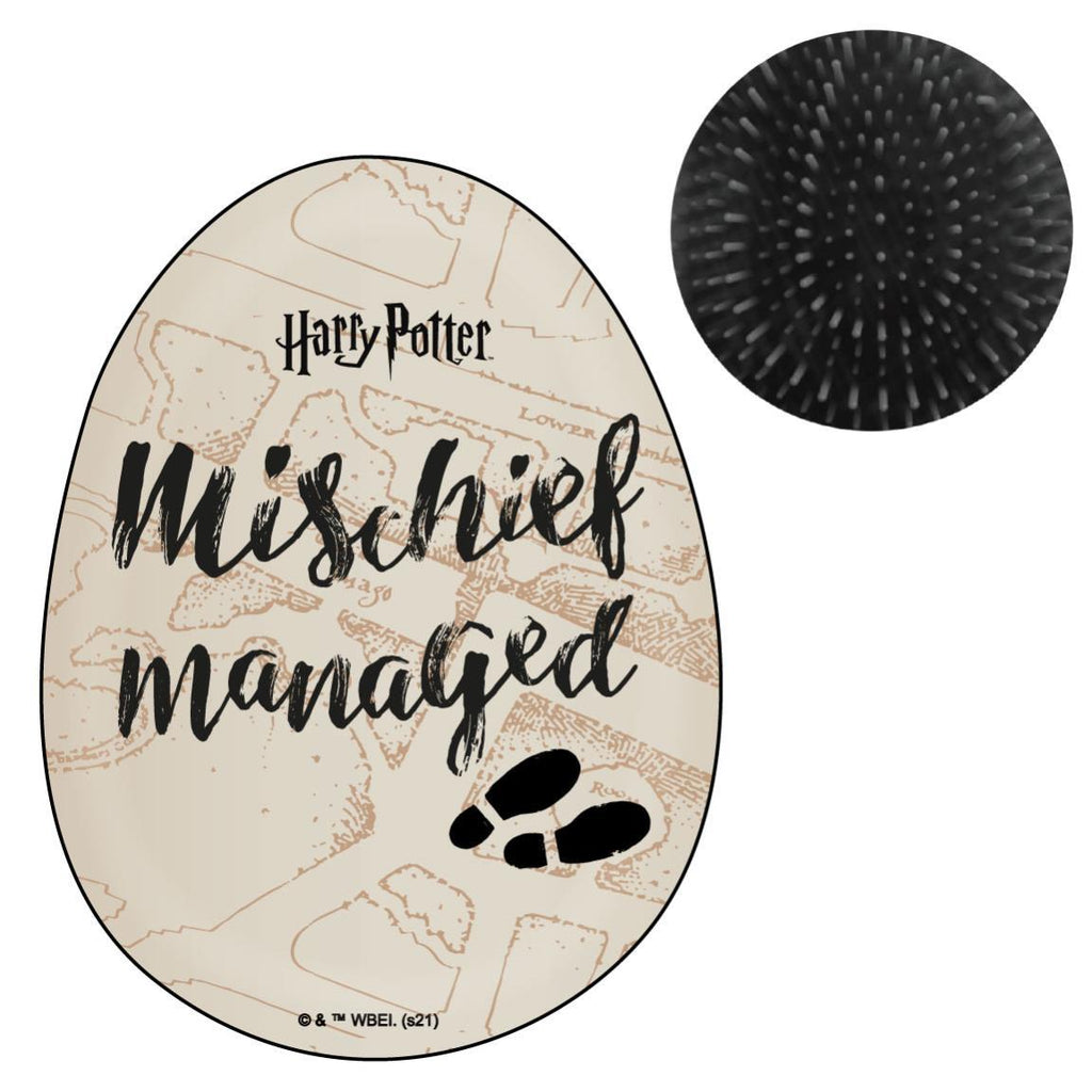 Cepillos desenredante adulto harry potter