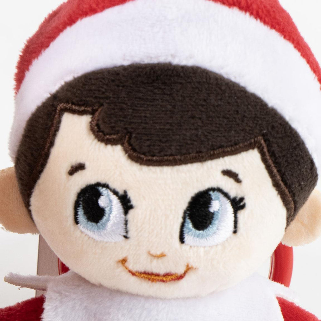 Bag clip 16 piezas the elf