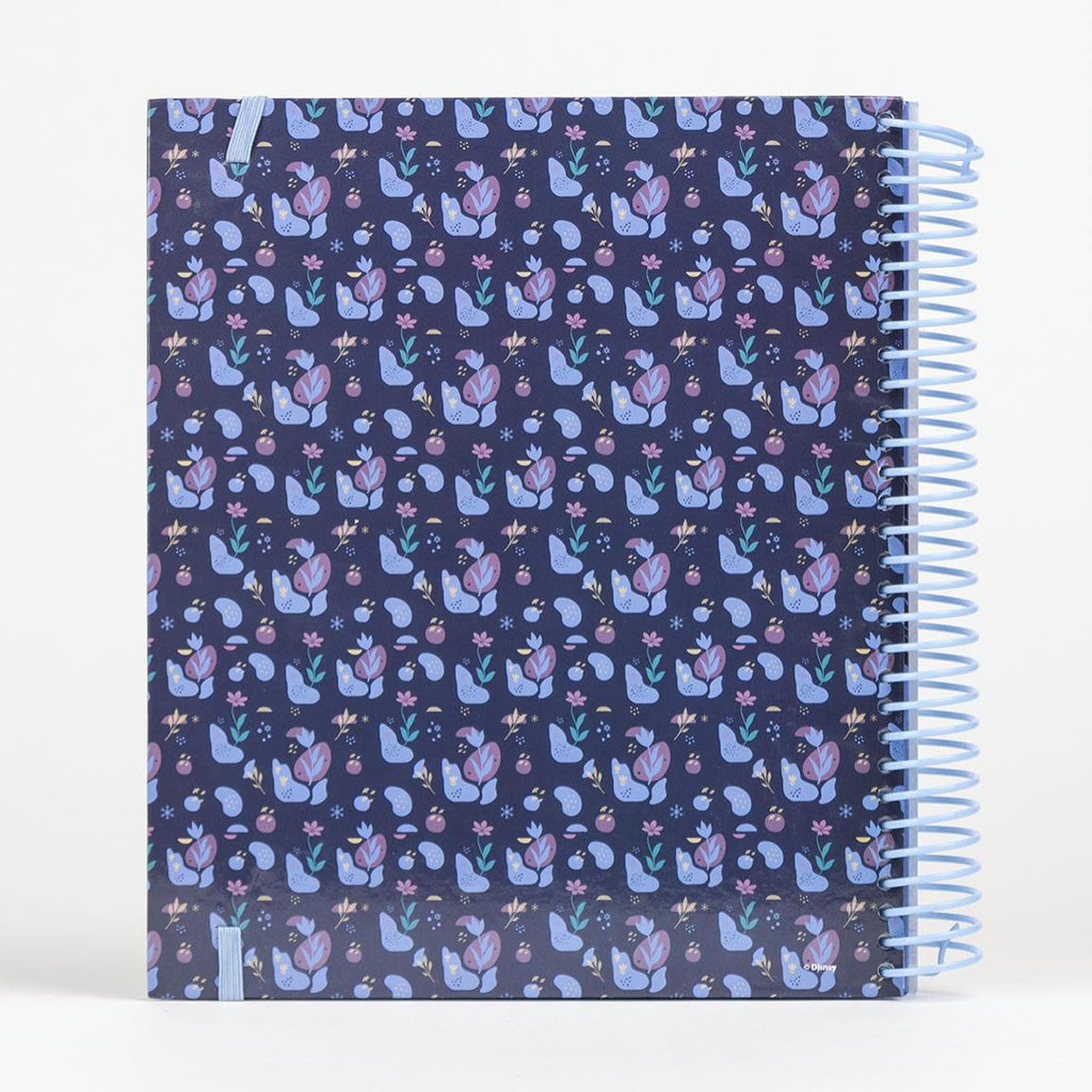 Album actividades coloreable frozen