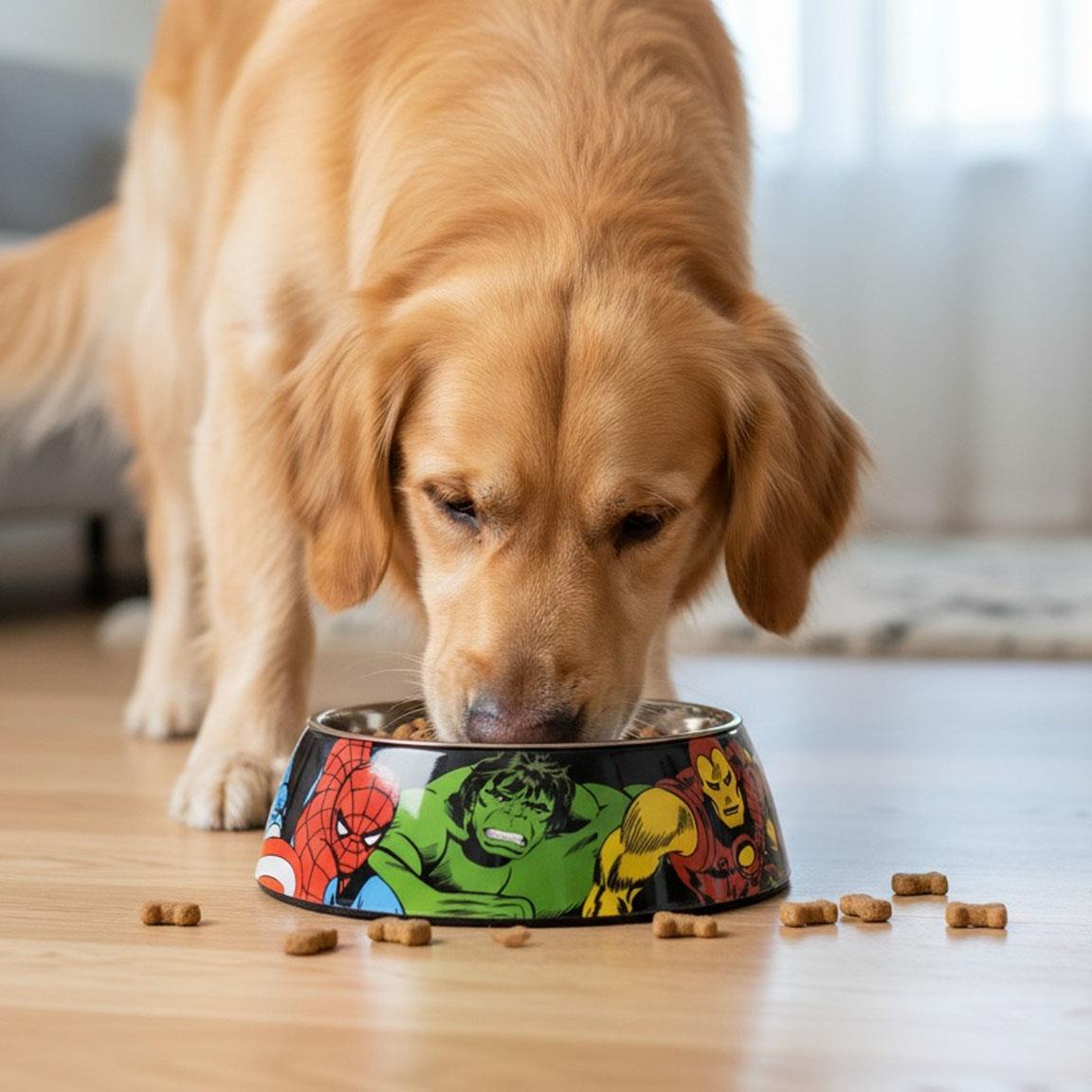 Comedero para perro l marvel