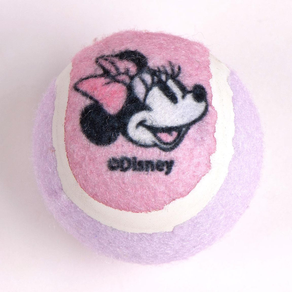 Set para mascotas juguete minnie