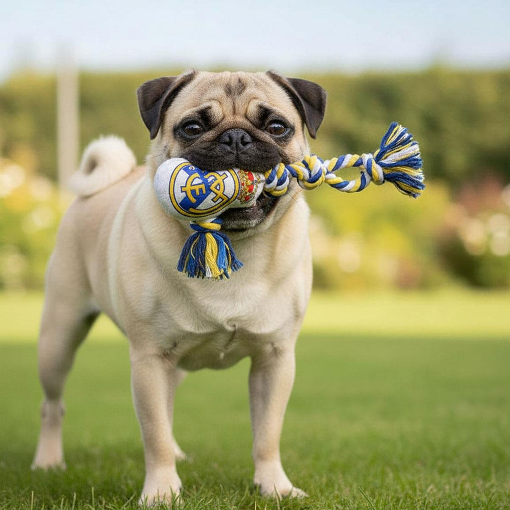 Juguete para perro cuerda real madrid