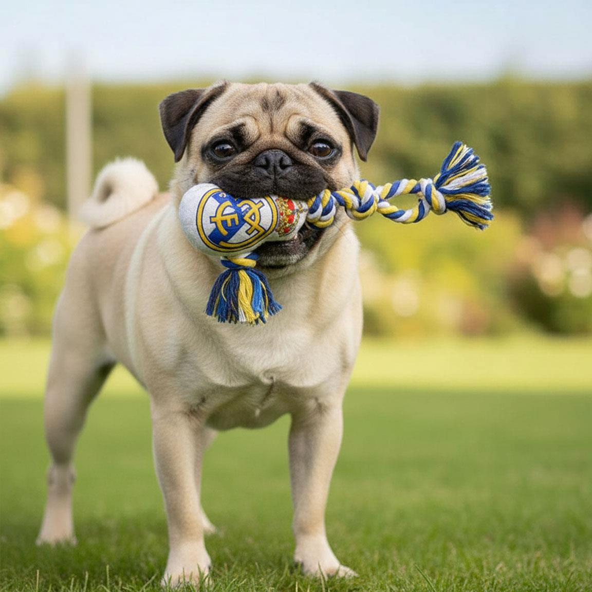 Juguete para perro cuerda real madrid