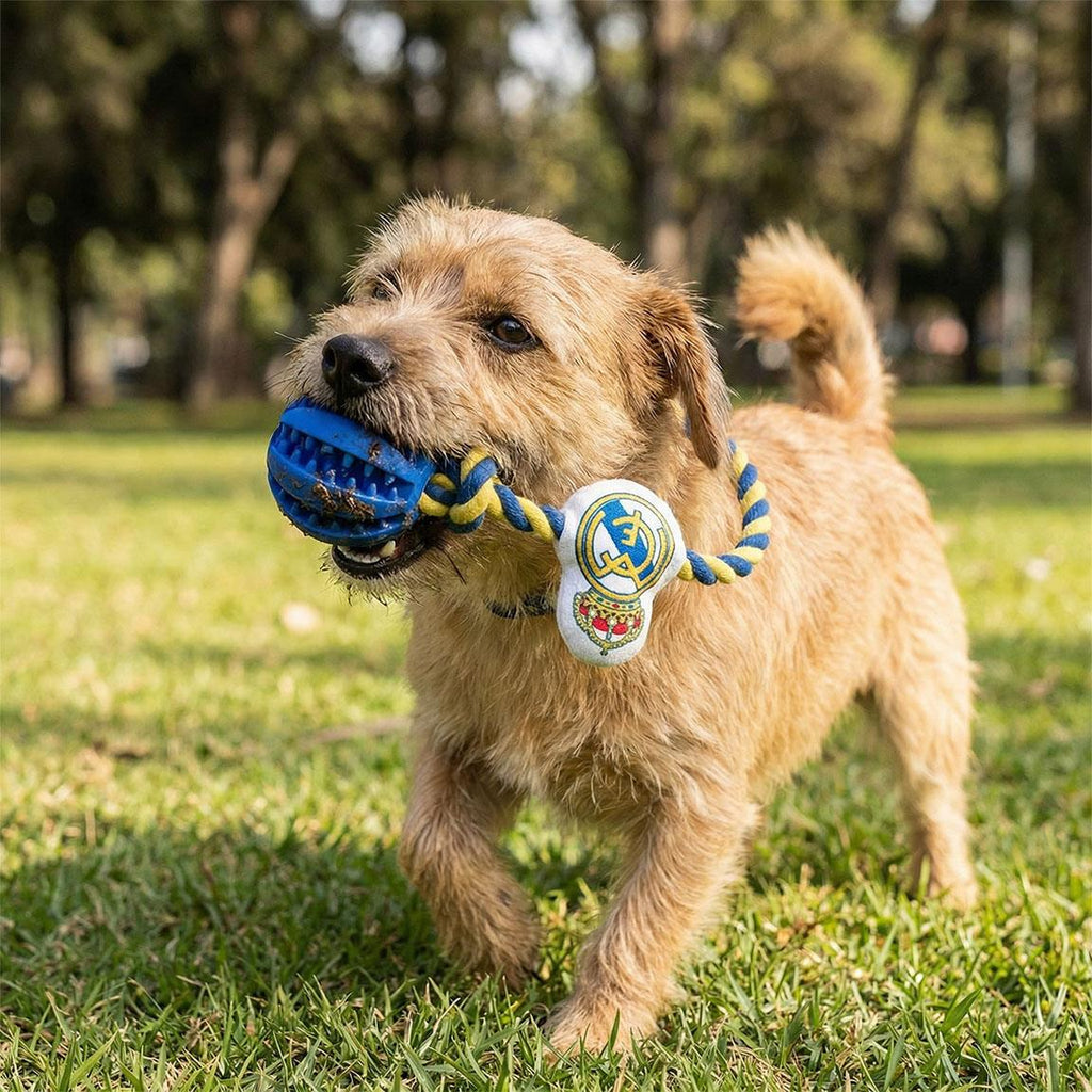 Juguete para perro cuerda real madrid
