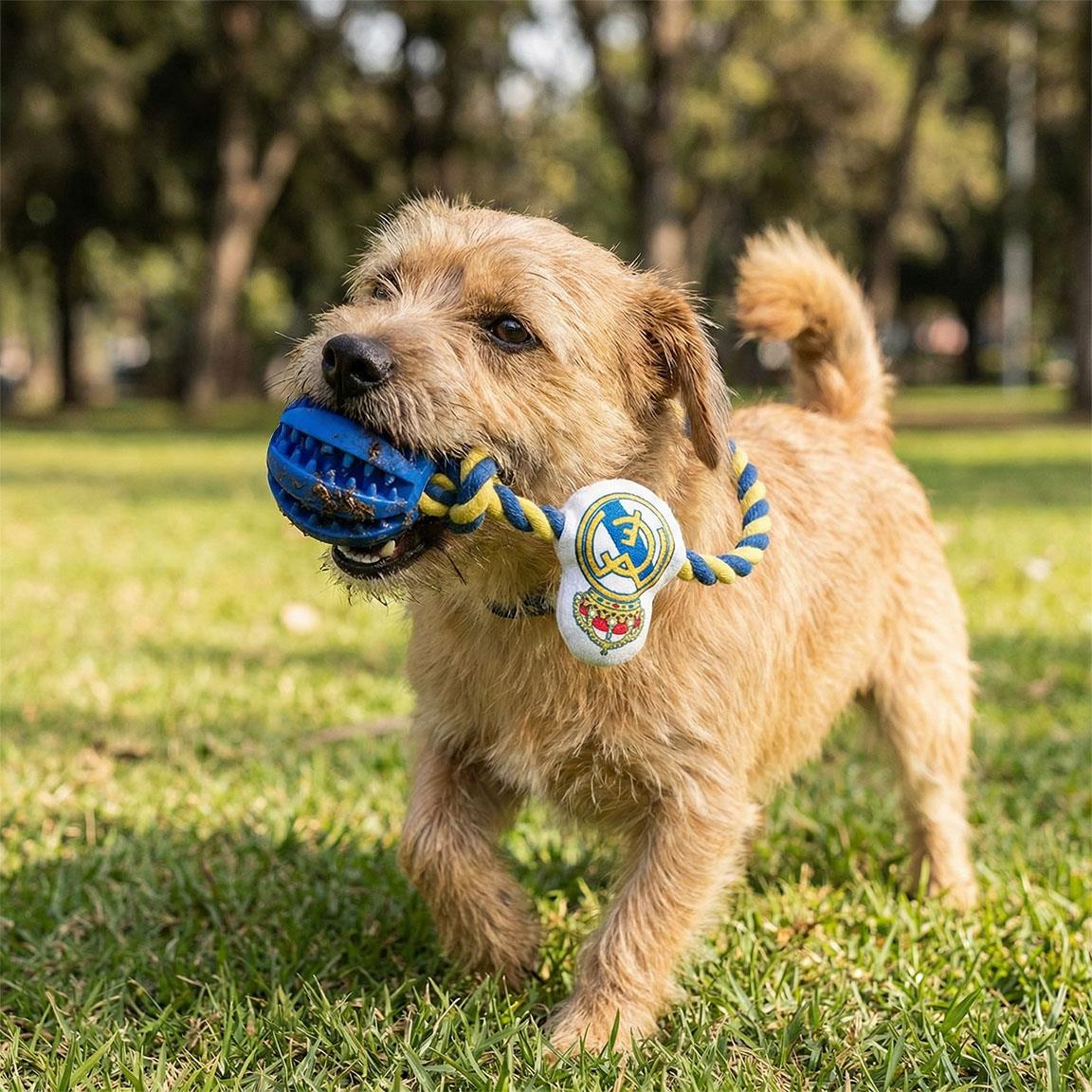 Juguete para perro cuerda real madrid
