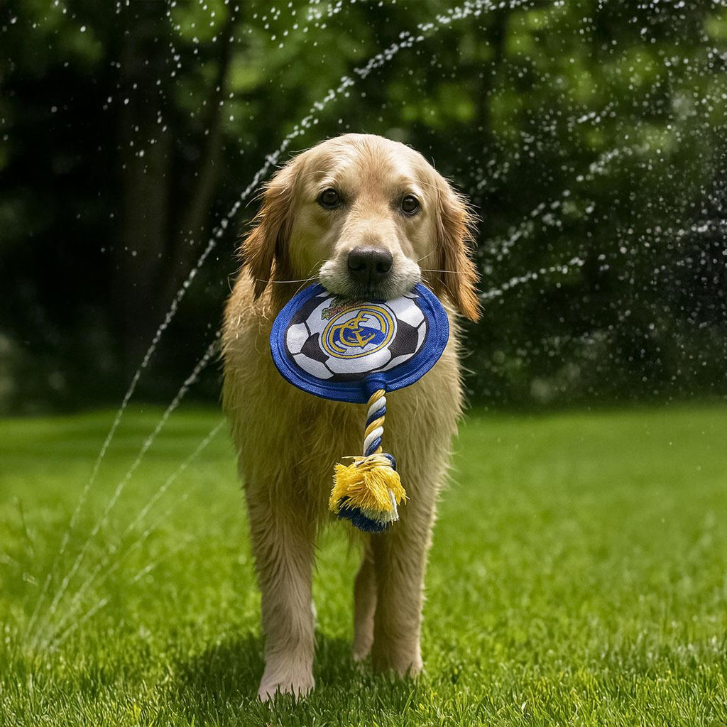 Juguete para perro cuerda real madrid