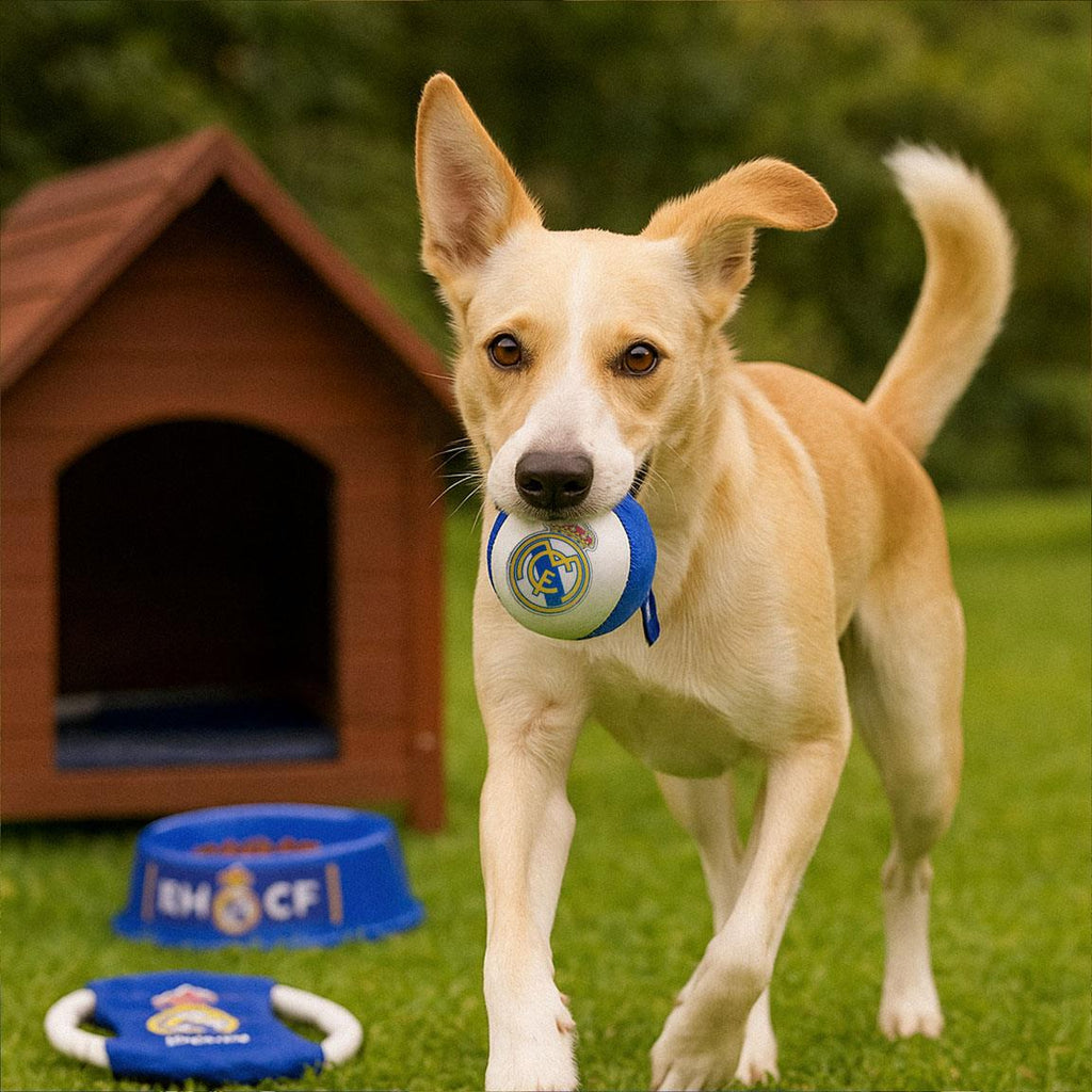 Set para mascotas bienvenida real madrid
