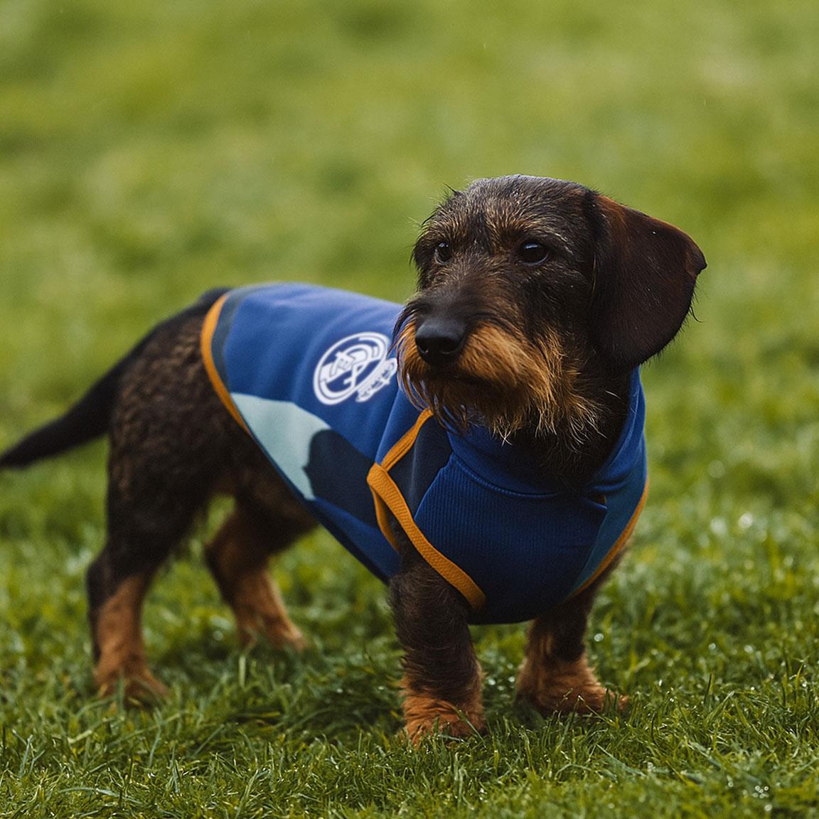 Sudadera para perro polar fleece real madrid