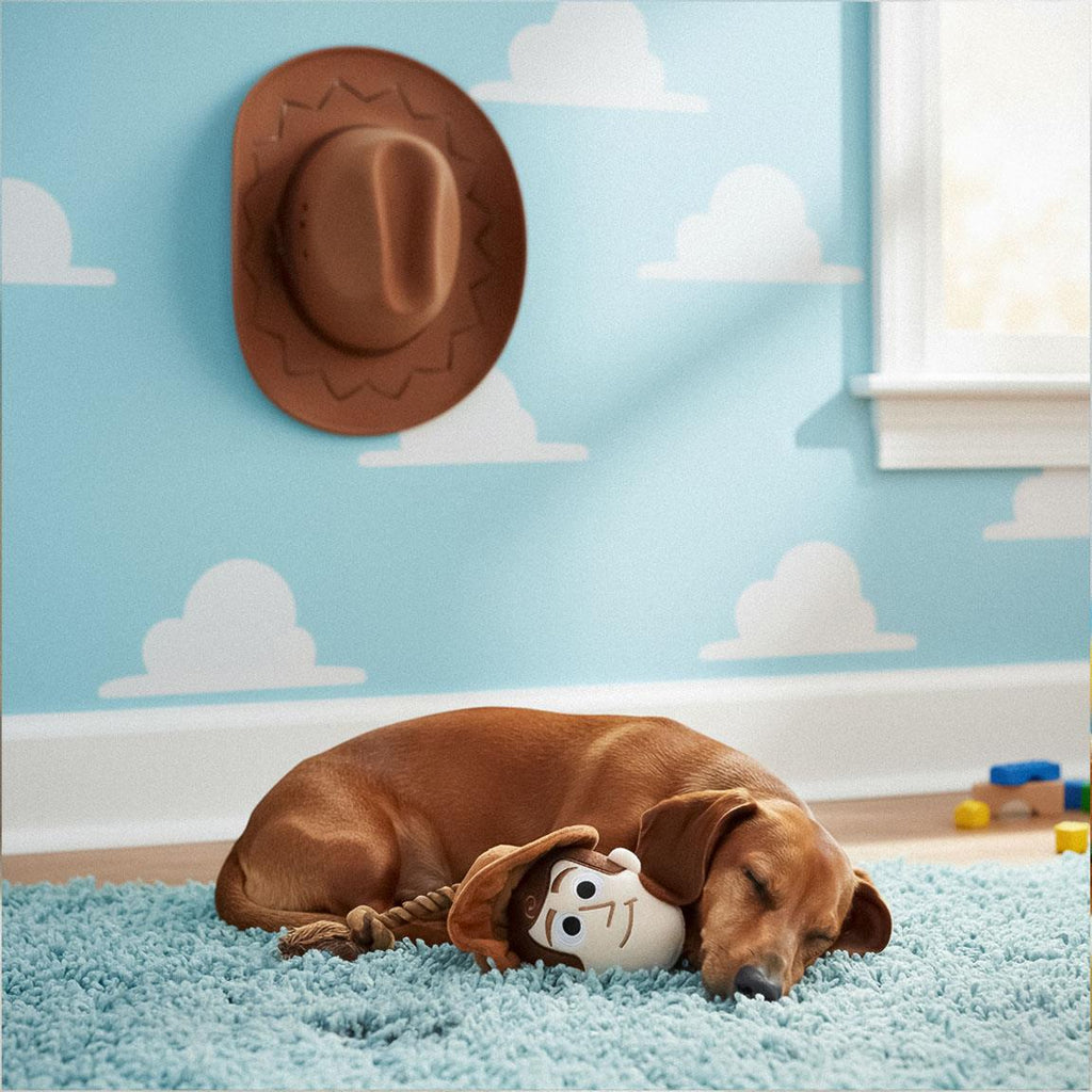 Cuerda dental para perro peluche toy story