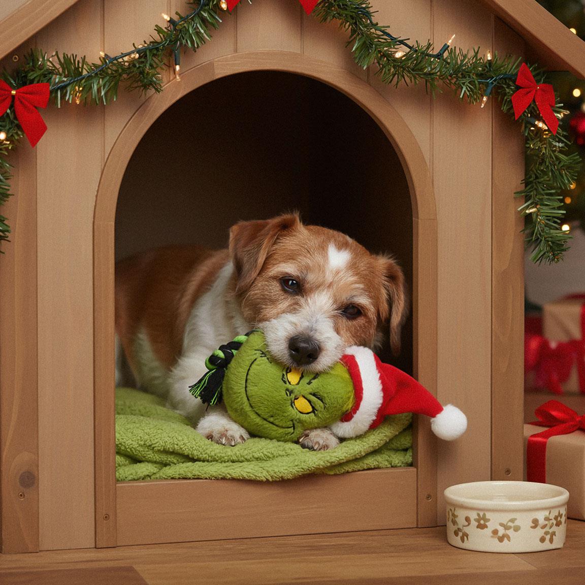 Cuerda dental para perro juguete the grinch