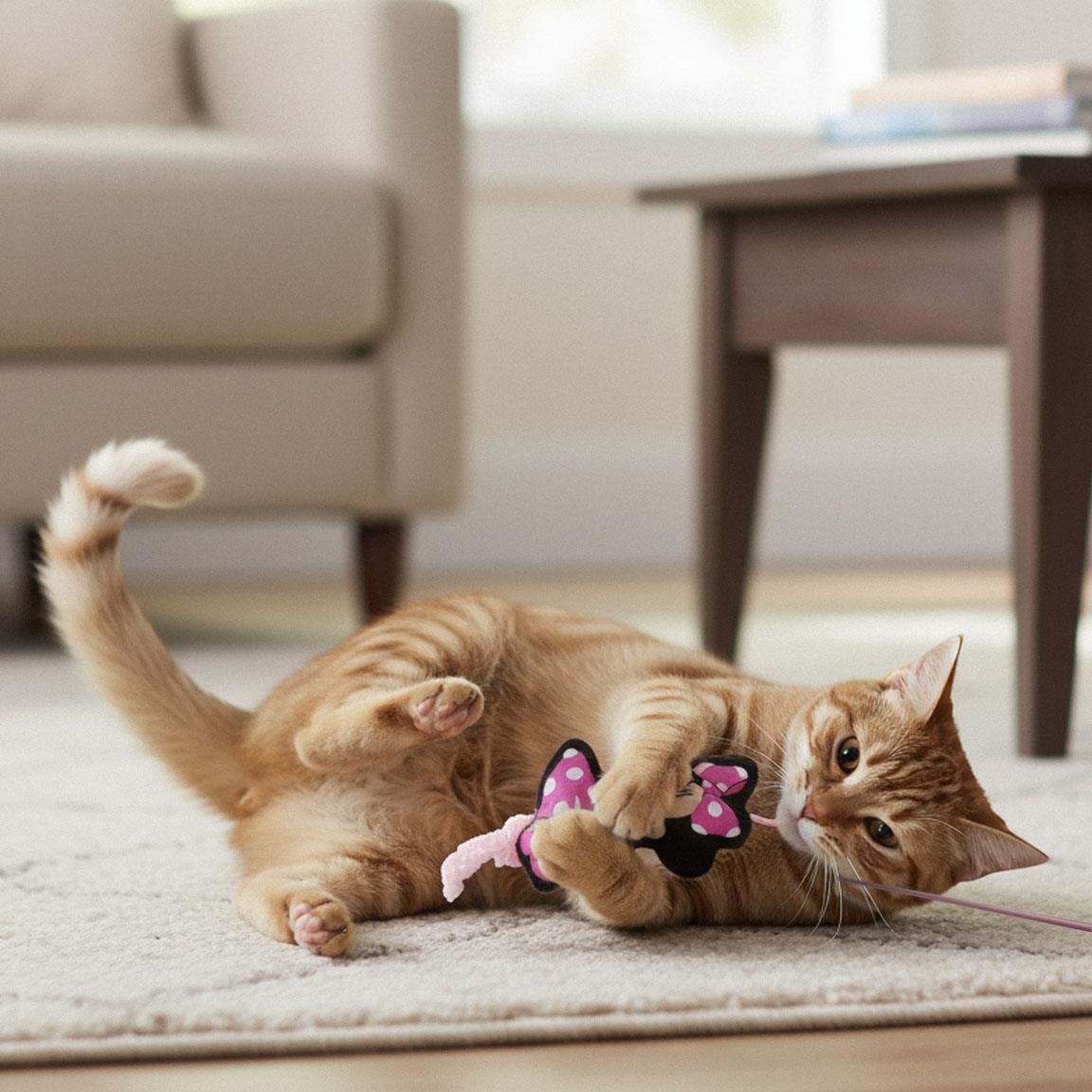 Varita para gato minnie