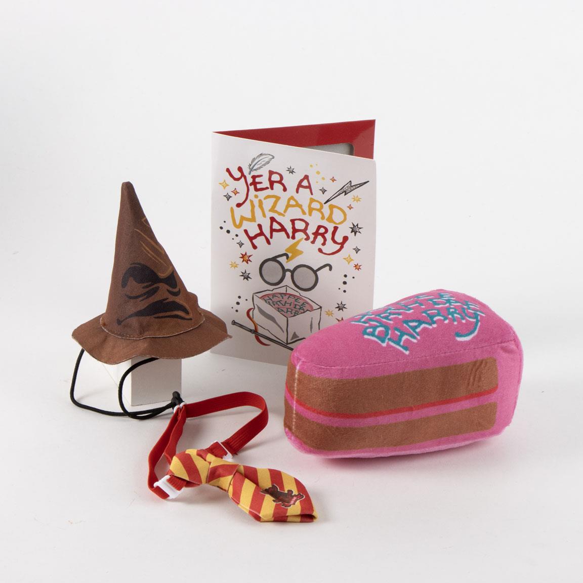 Set para mascotas cumpleaños harry potter