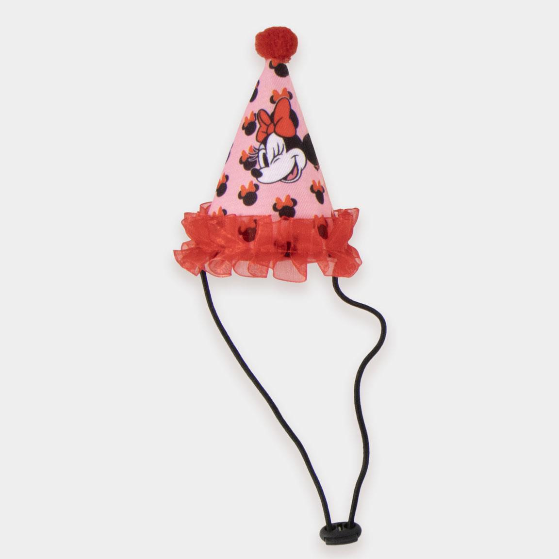 Set para mascotas cumpleaños minnie