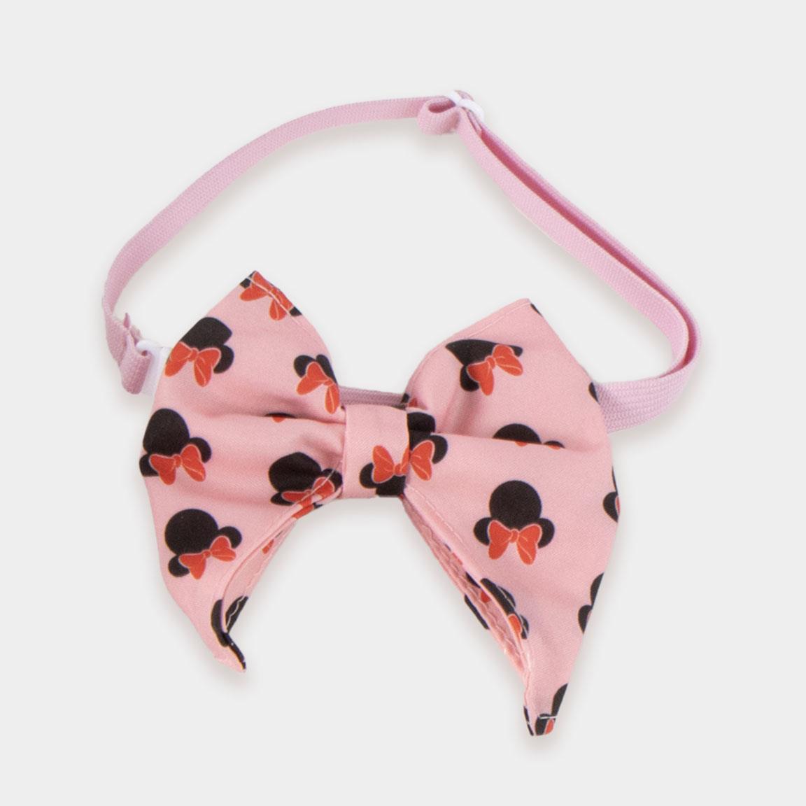 Set para mascotas cumpleaños minnie
