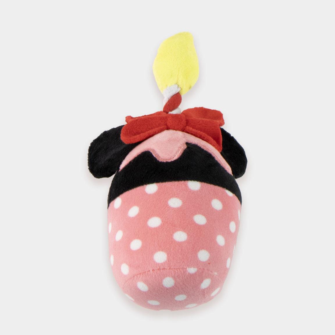 Set para mascotas cumpleaños minnie