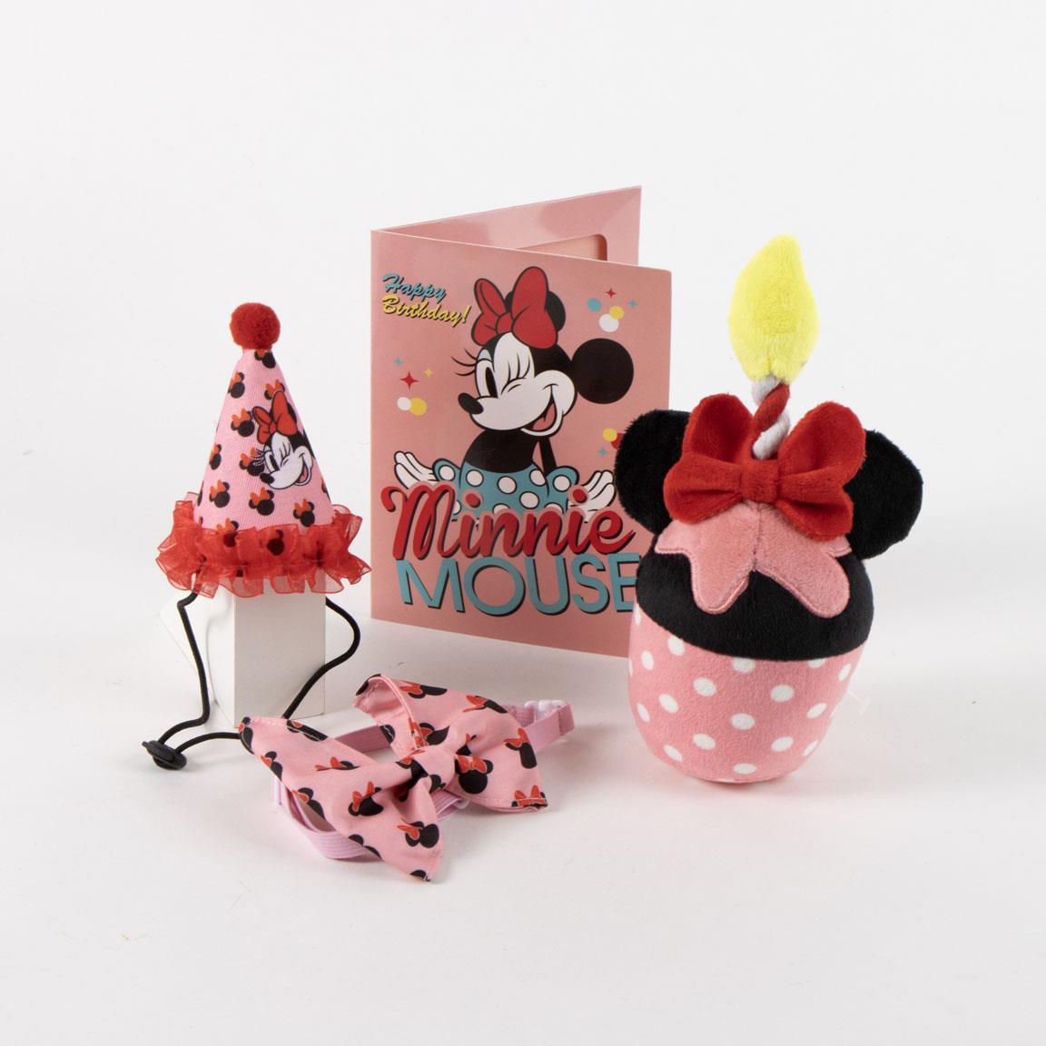 Set para mascotas cumpleaños minnie