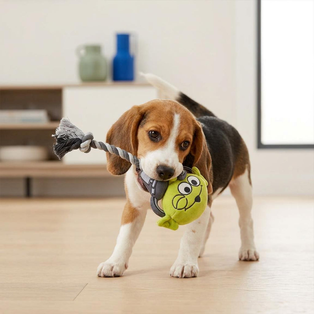 Cuerda dental para perro peluche toy story