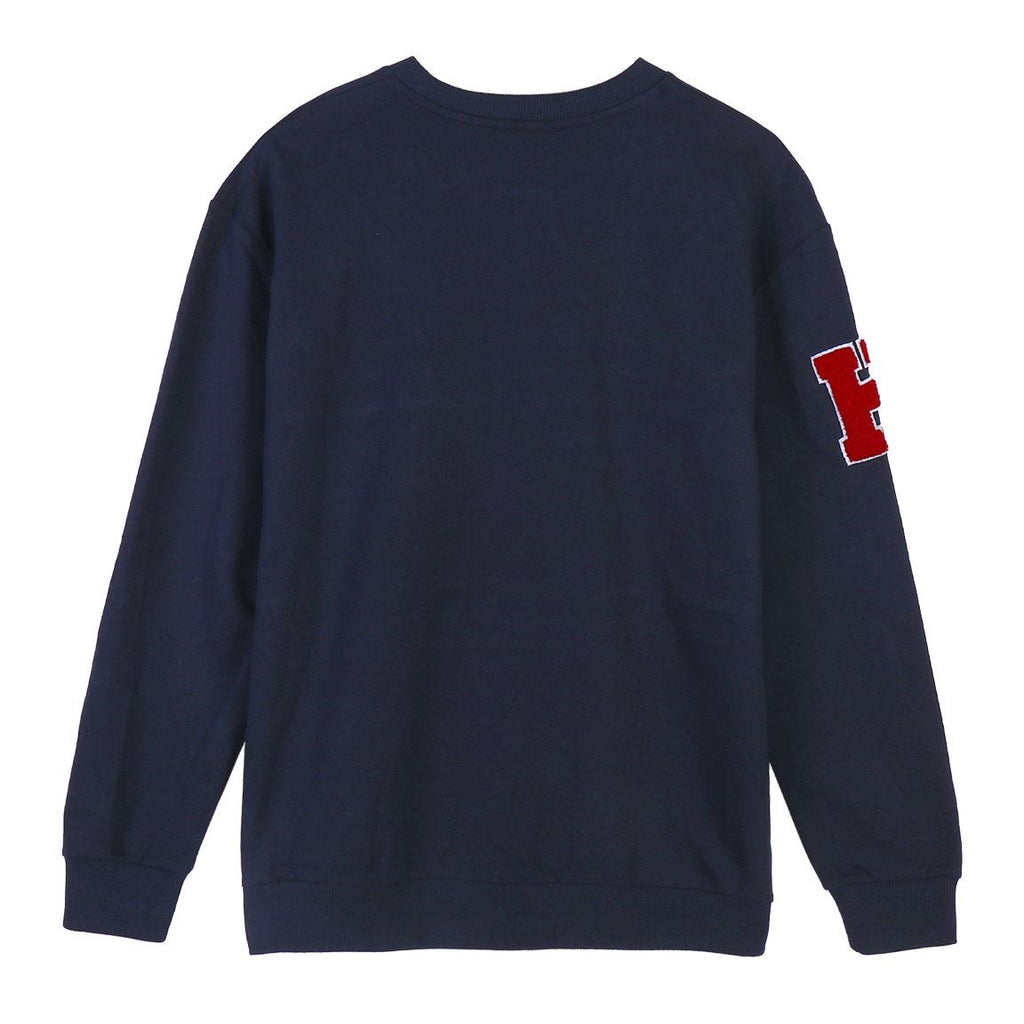 Sudadera cotton brushed harry potter