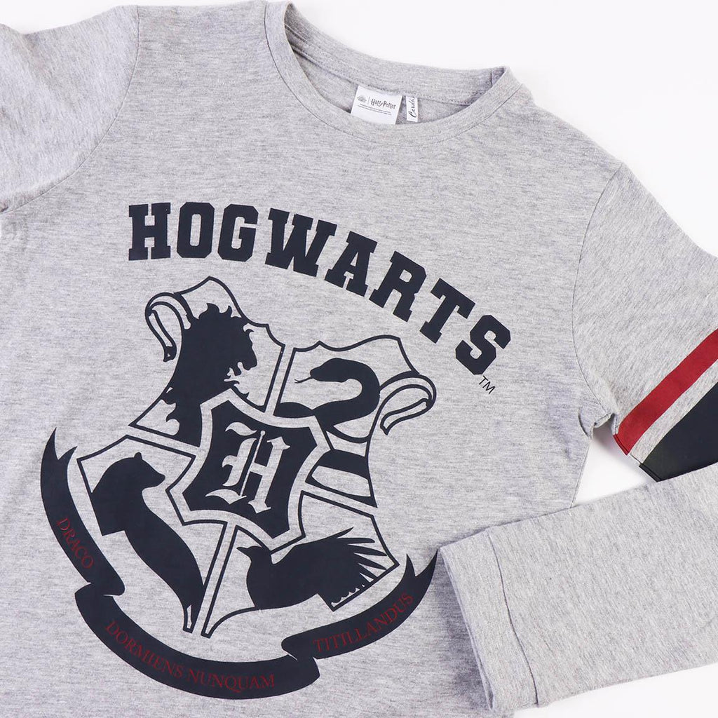 Pijama largo single jersey harry potter
