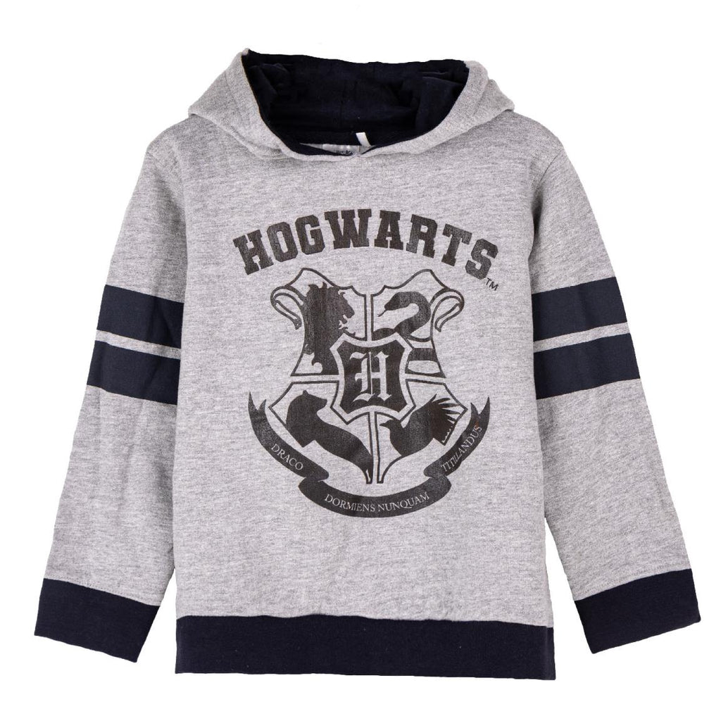 Sudadera con capucha cotton brushed harry potter