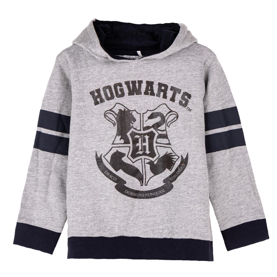 Sudadera con capucha cotton brushed harry potter