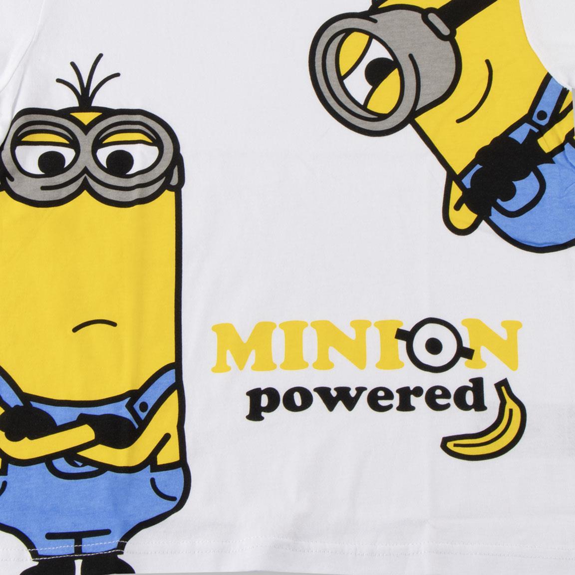 Camiseta corta single jersey minions