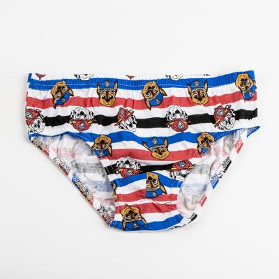 Pack calzoncillos single jersey 3 piezas paw patrol