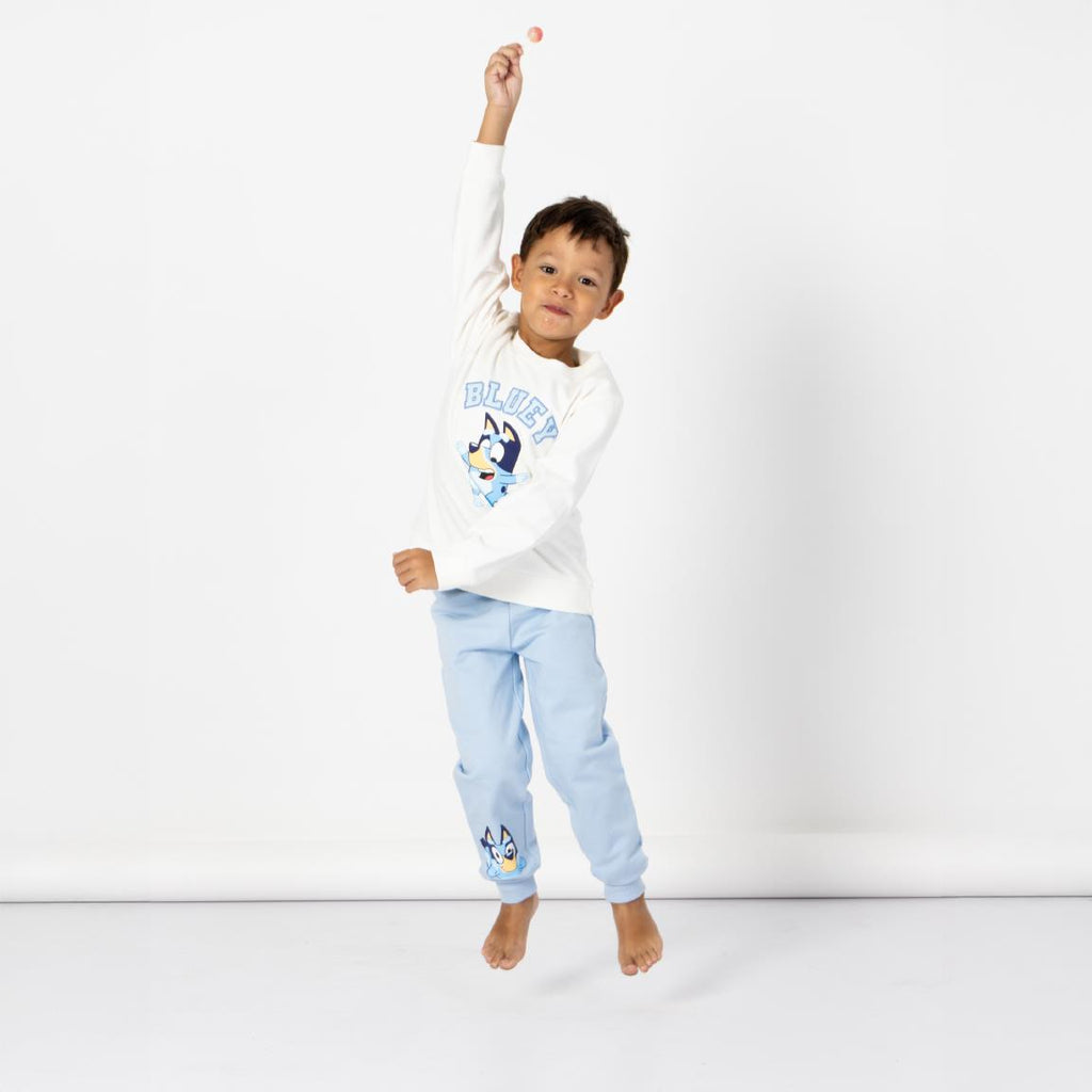 Chandal cotton brushed bluey