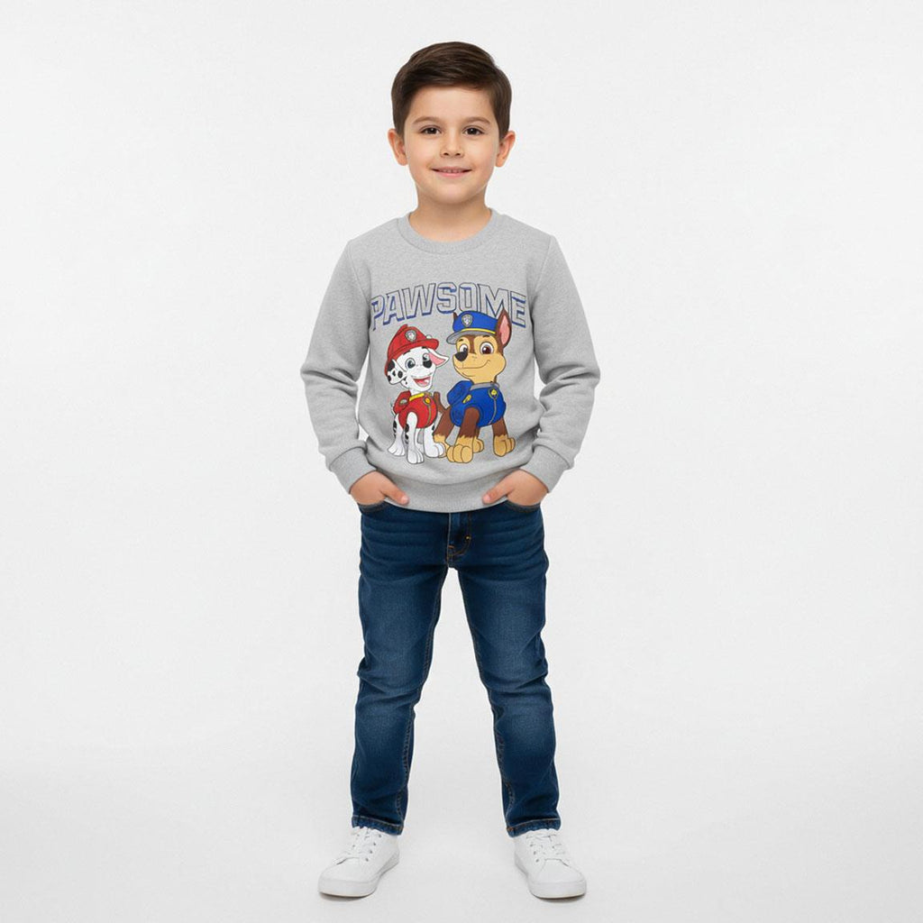 Sudadera cotton brushed paw patrol