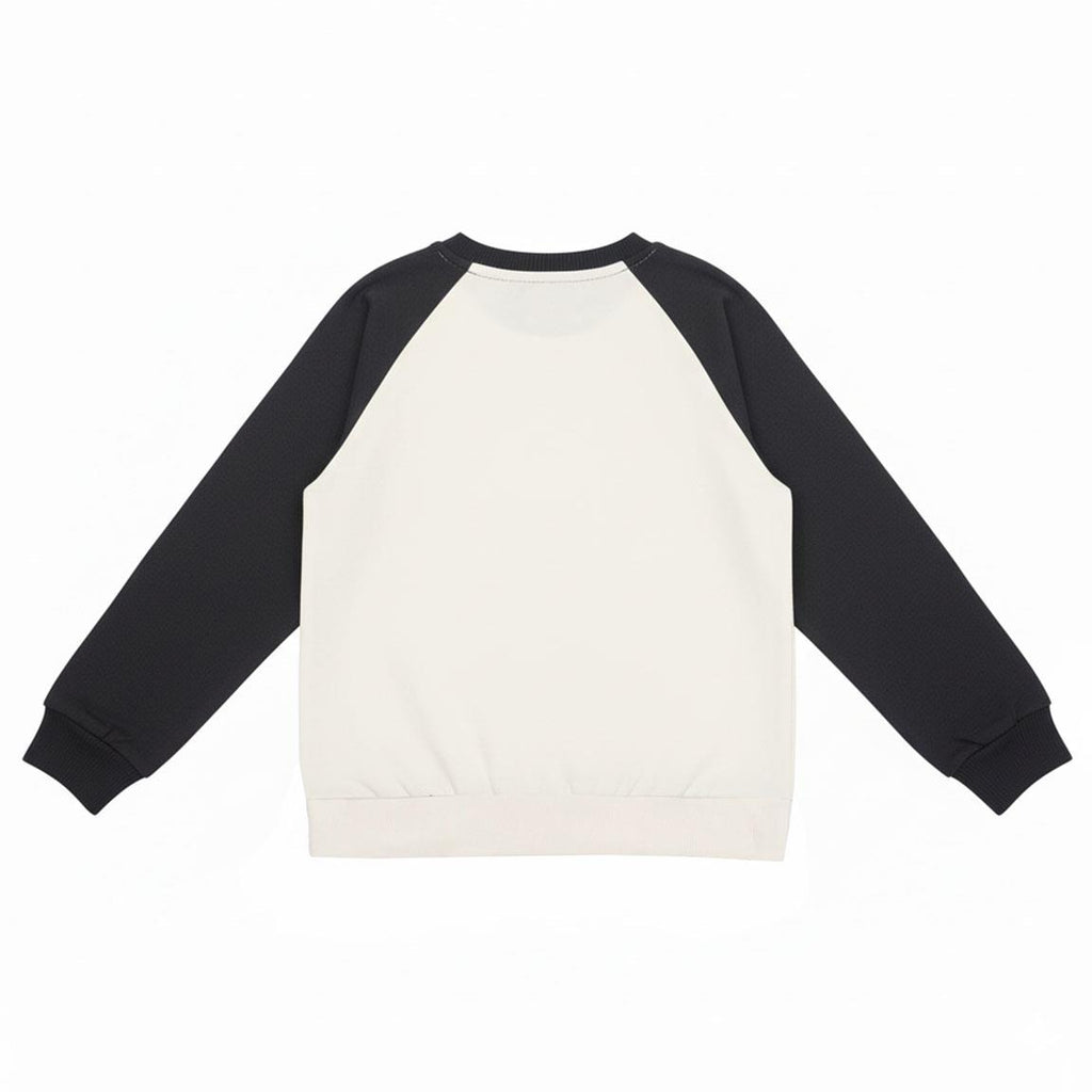 Sudadera cotton brushed avengers