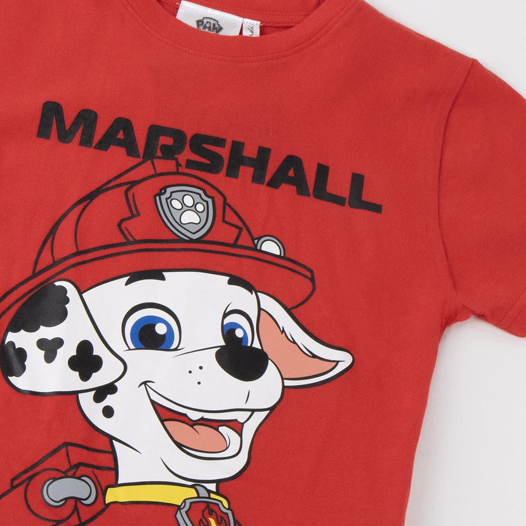 Camiseta corta single jersey paw patrol