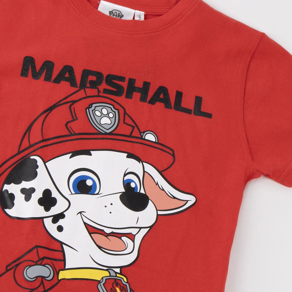 Camiseta corta single jersey paw patrol
