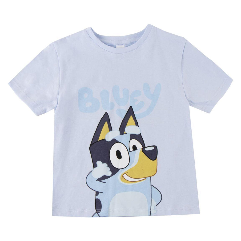 Camiseta corta single jersey bluey