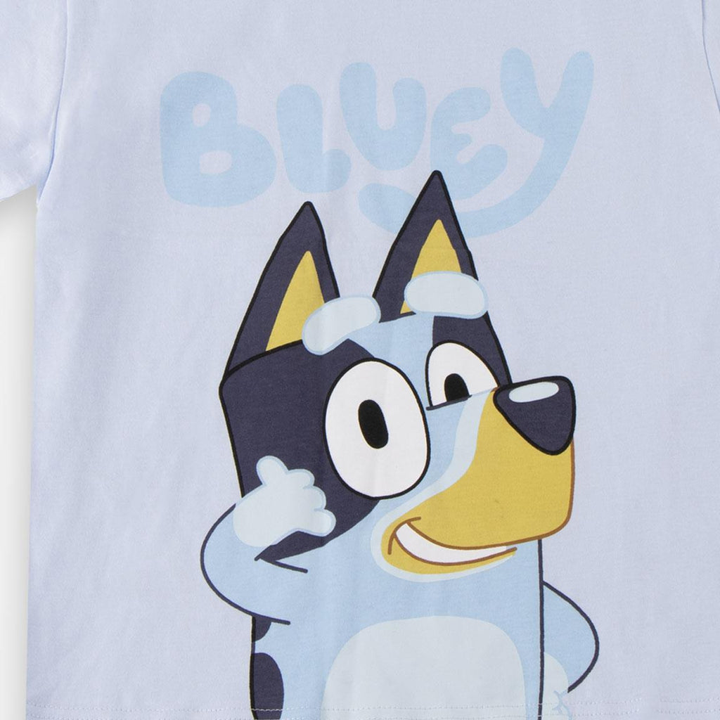 Camiseta corta single jersey bluey