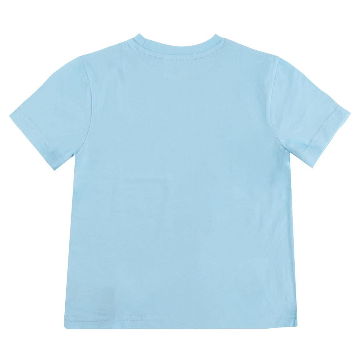 Camiseta corta single jersey frozen