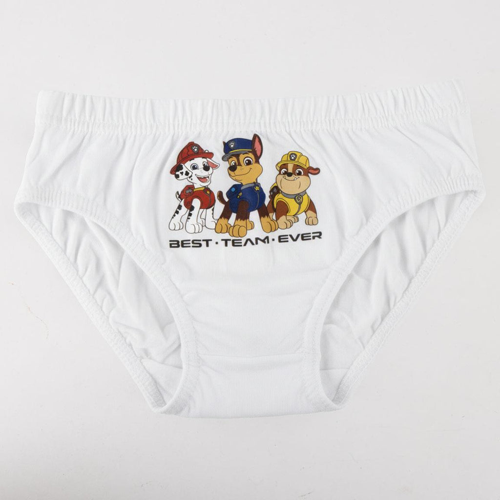 Pack calzoncillos single jersey 3 piezas paw patrol