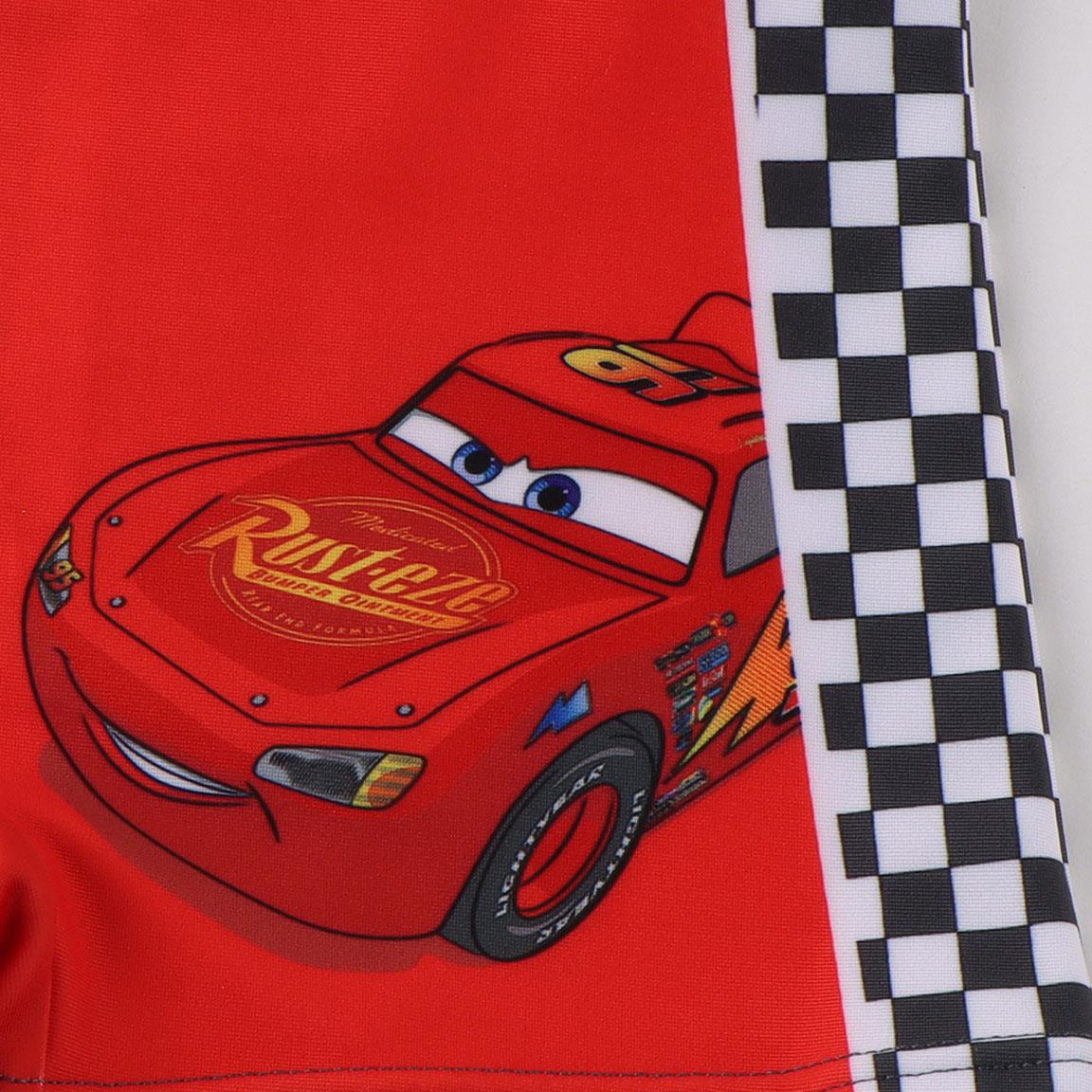 Boxer baño cars